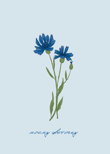 Открытка Булкова «Васильки»
Открытка Булкова «Васильки»