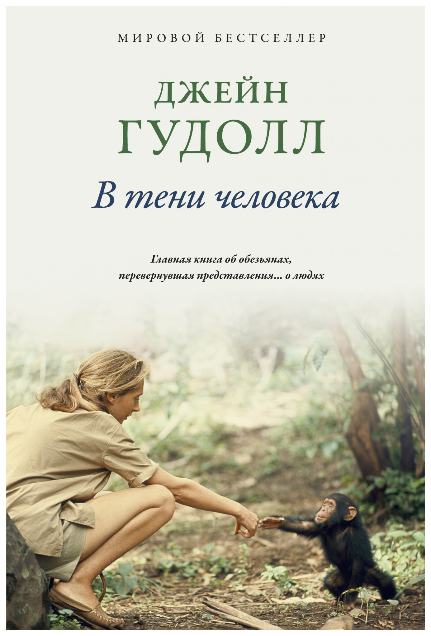 

В тени человека