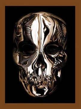 

Alexander McQUEEN: Savage Beauty