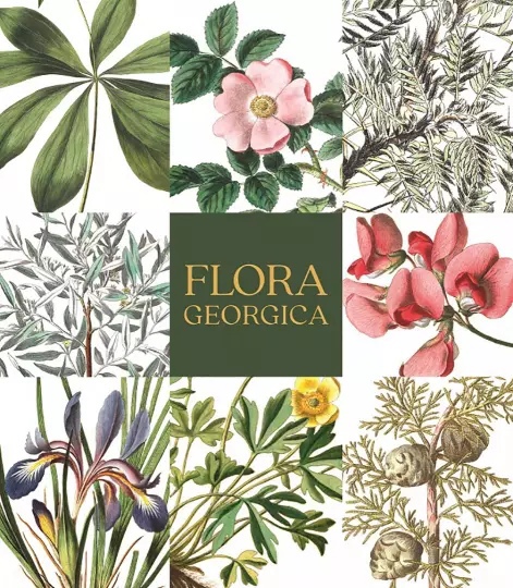 

Flora Georgica. Гербарий на фарфоре