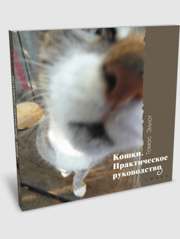 

Кошки. Практическое руководство