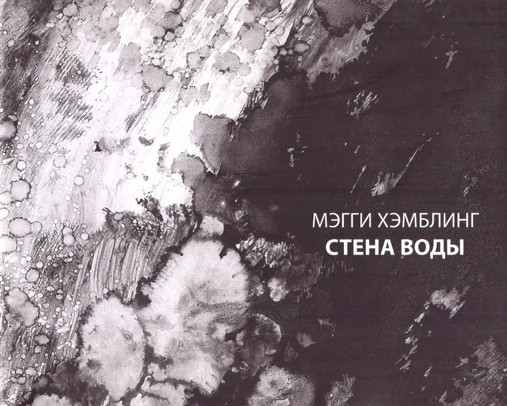

Каталог выставки «Мэгги Хэмблинг. Стена воды»