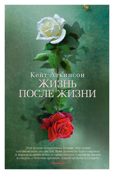 

Жизнь после жизни