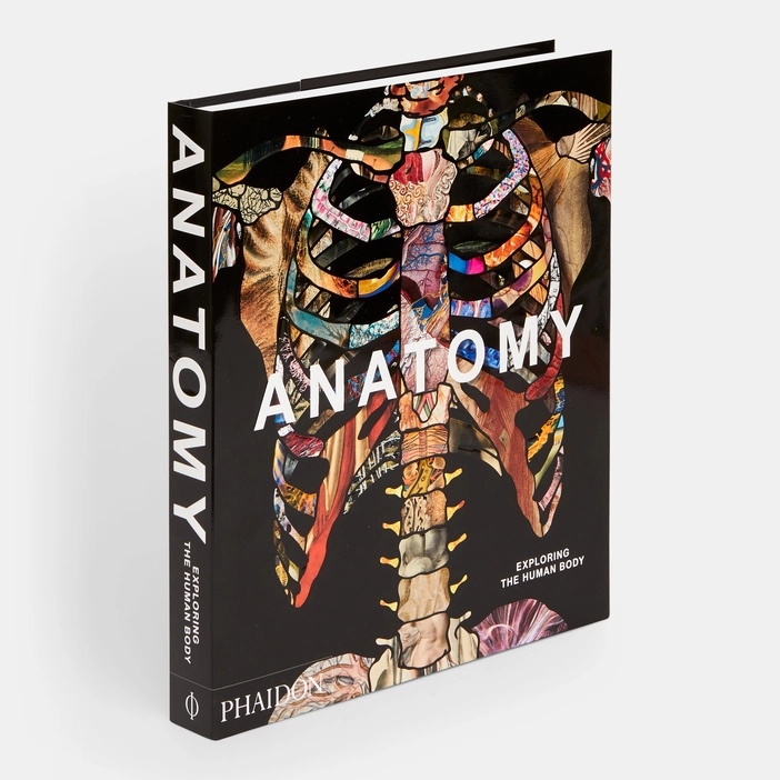

Anatomy: Exploring the Human Body