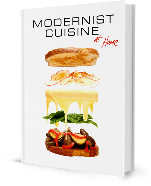 

Modernist Cuisine at Home by Nathan Myhrvold