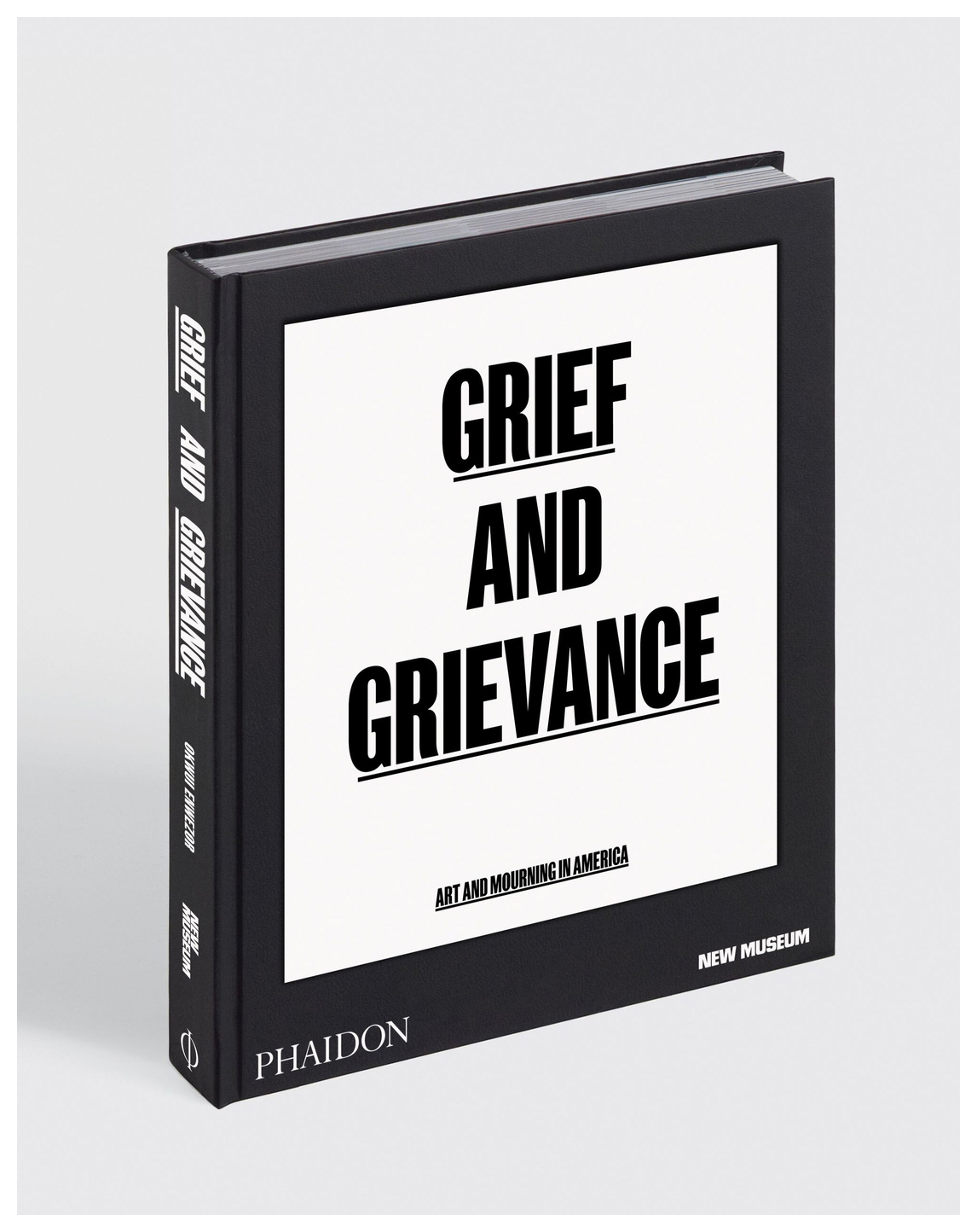 Grief and Grievance: Art and Mourning in America (New Museum) selected writings