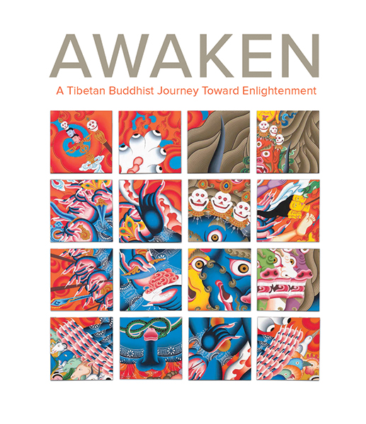 Awaken: A Tibetan Buddhist Journey Toward Enlightenment the incredible journey