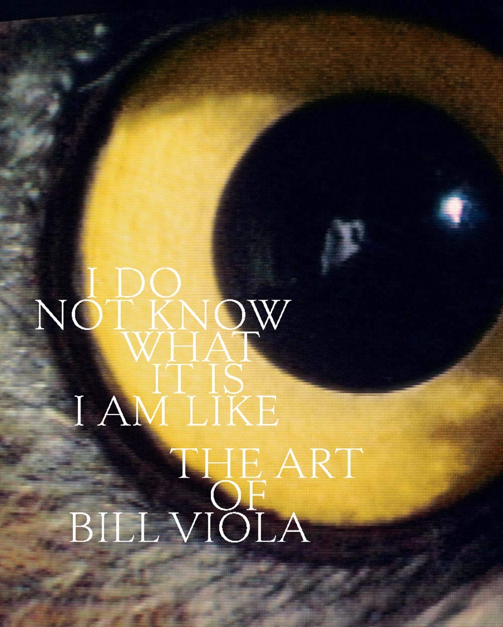  - I Do Not Know What It Is I Am Like: The Art of Bill Viola