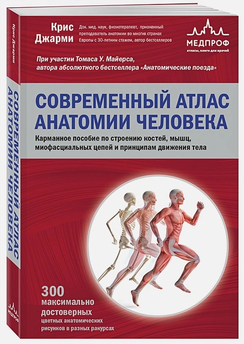 

Современный атлас анатомии человека. Карманное пособие по строению костей, мышц, миофасциальных цепей и принципам движения тела