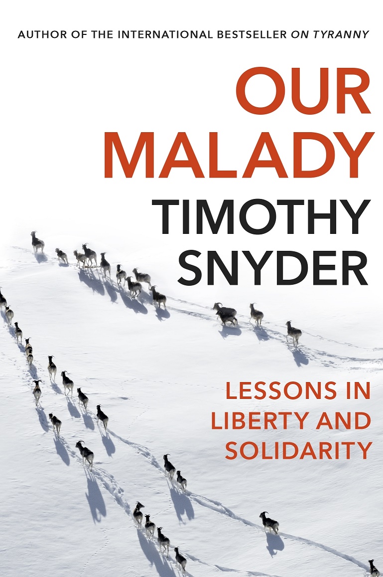 

Our Malady: Lessons in Liberty and Solidarity