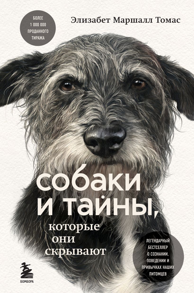 

Собаки и тайны, которые они скрывают