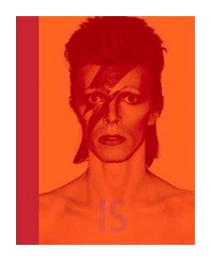 

David Bowie is