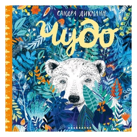 

Чудо (нов)