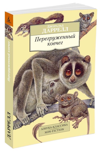 

Перегруженный ковчег