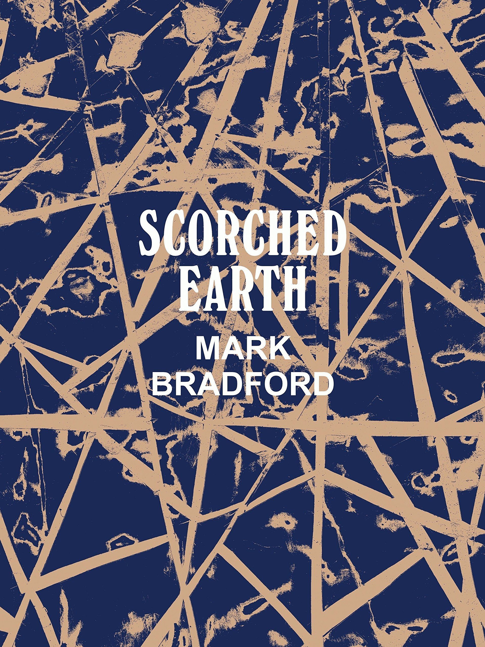 

Mark Bradford: Scorched Earth