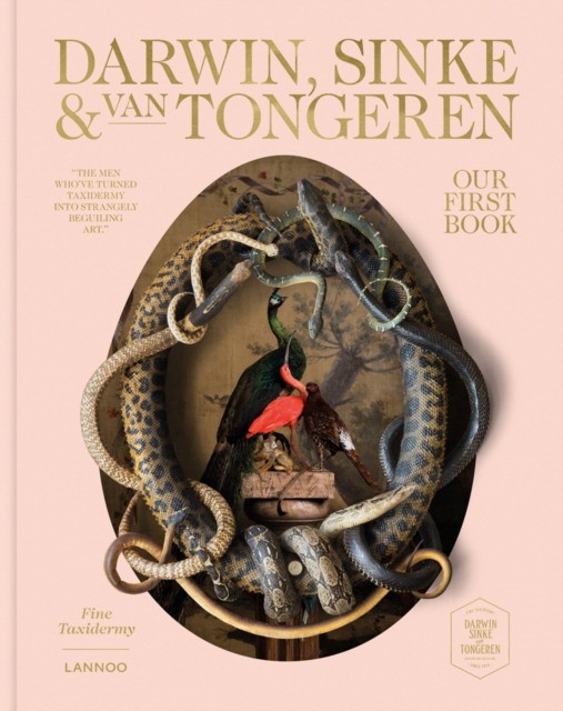 

Darwin, Sinke & van Tongeren