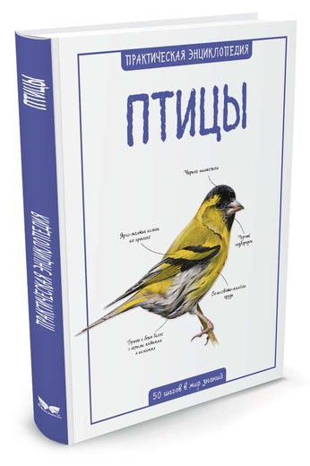 

Птицы