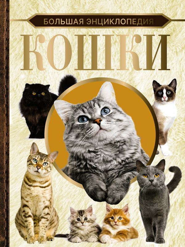 

Кошки