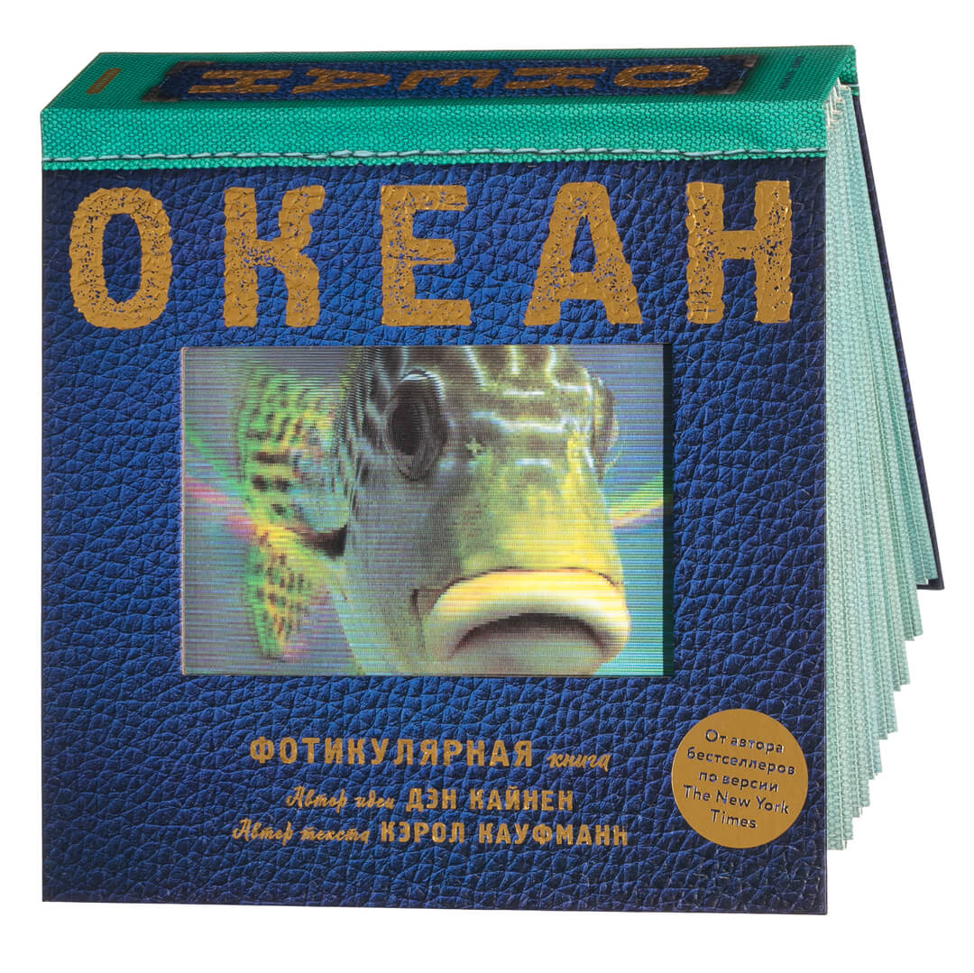 

Океан. Фотикулярная книга