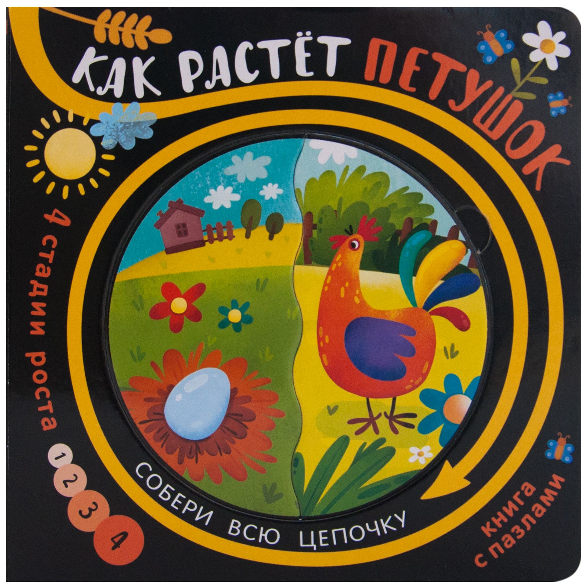

Собери цепочку. Как растет петушок