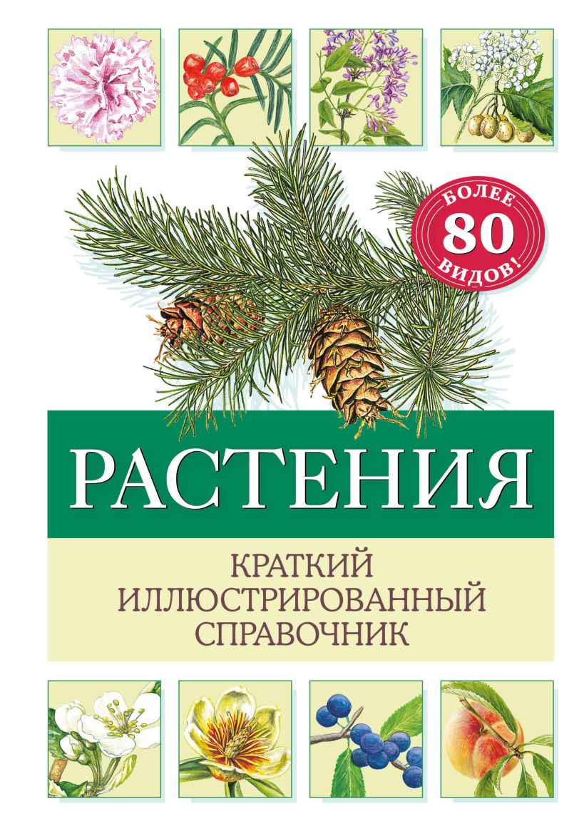 

Растения. Краткий иллюстрированный справочник