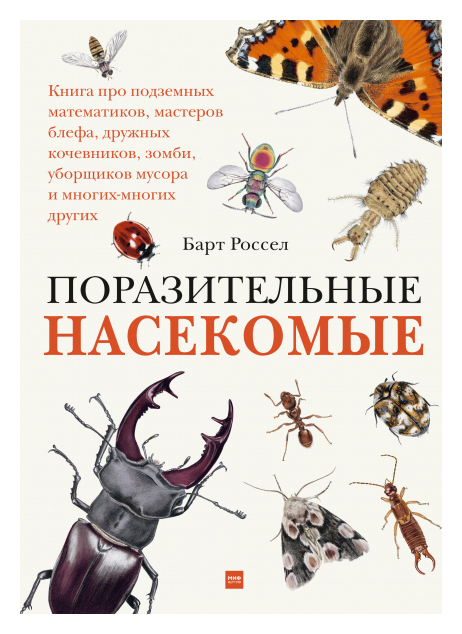 

Поразительные насекомые