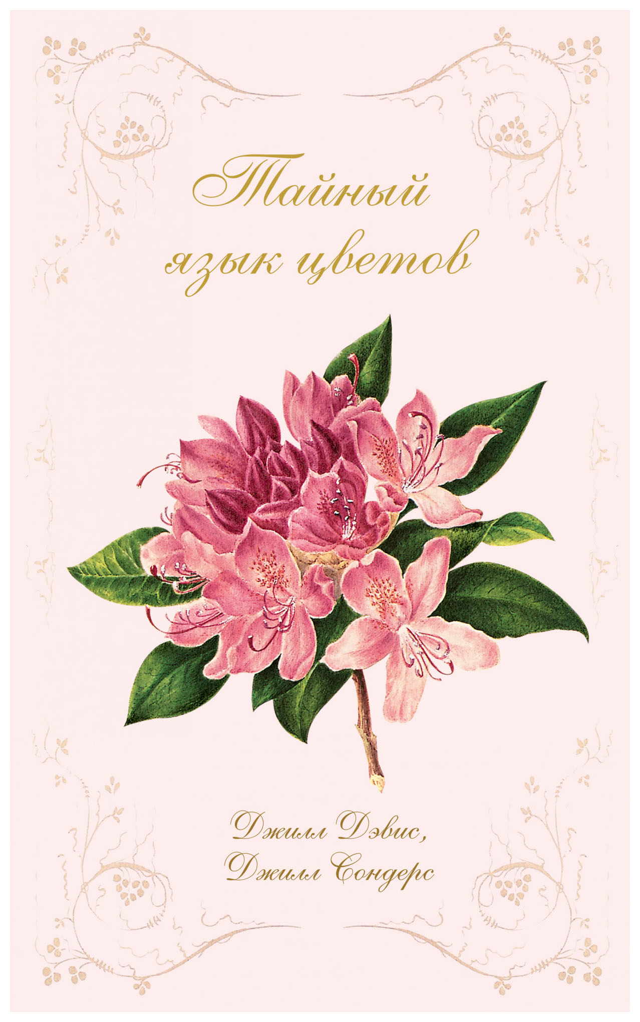 Тайный язык цветов парфюмированный лосьон для тела с экстрактом розовых цветов pink flower daily perfume body lotion