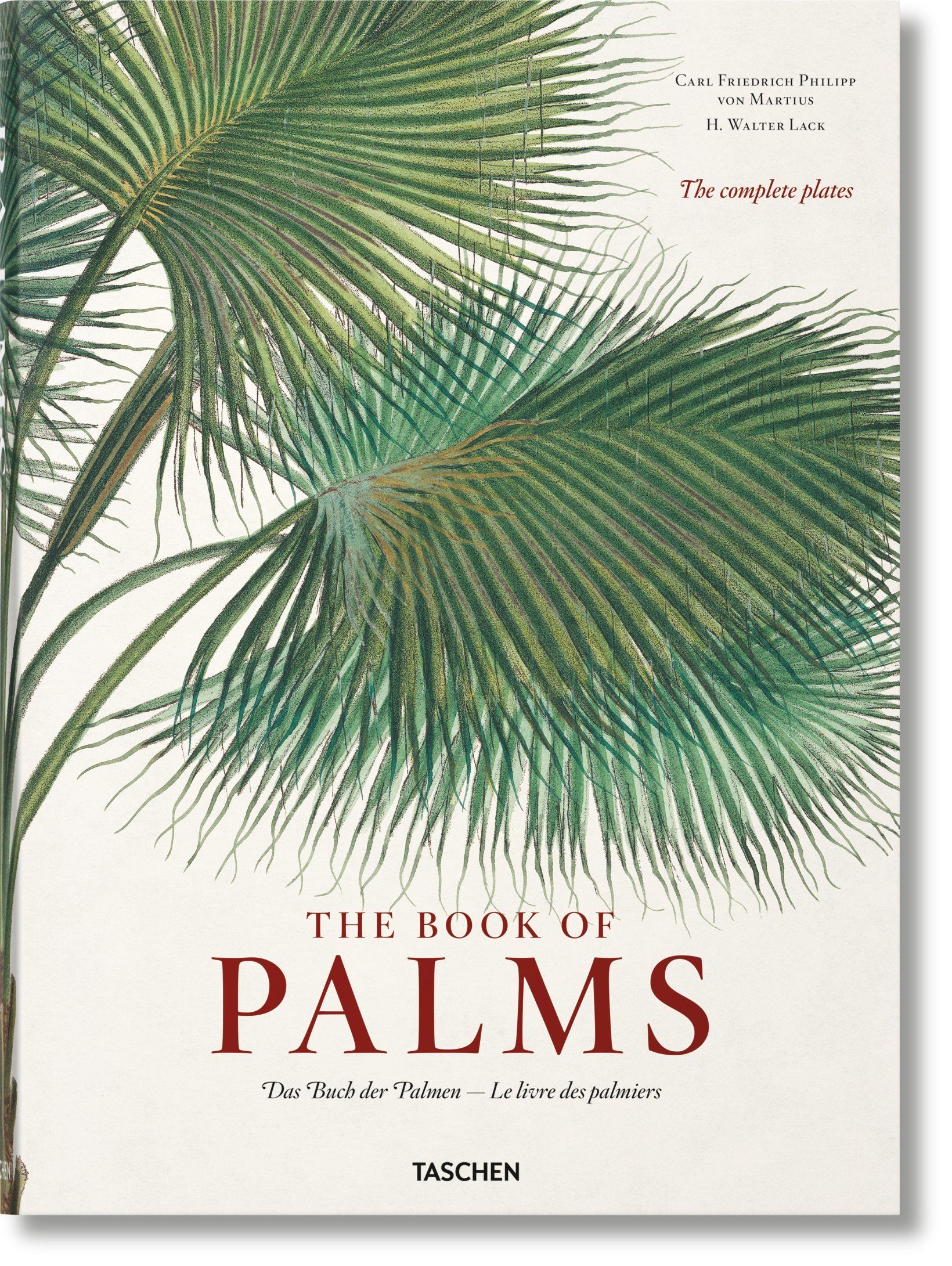 H. Walter Lack - Book of Palms