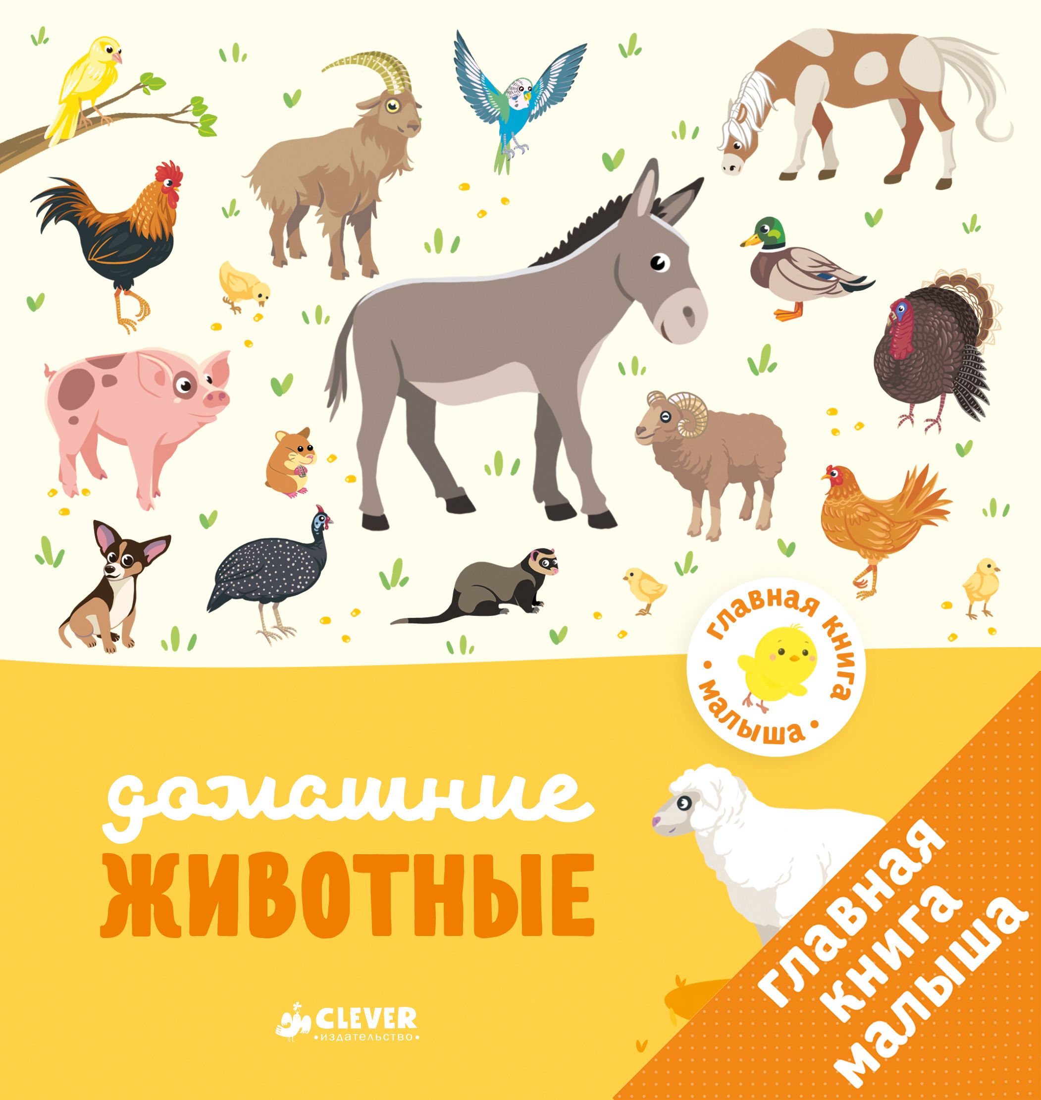 

Главная книга малыша. Домашние животные/Бессон А.