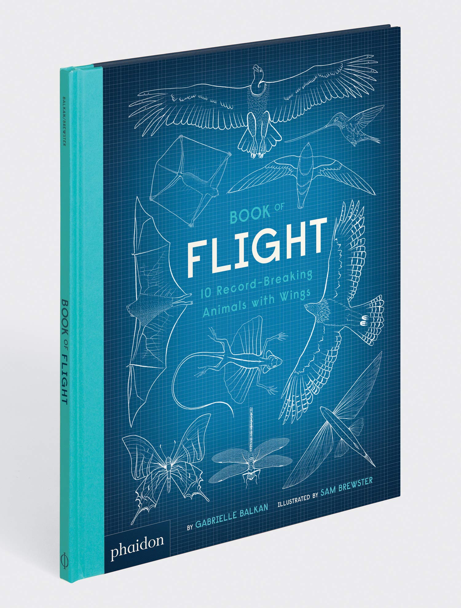 Book of Flight: 10 Record-Breaking Animals with Wings the illustration idea book