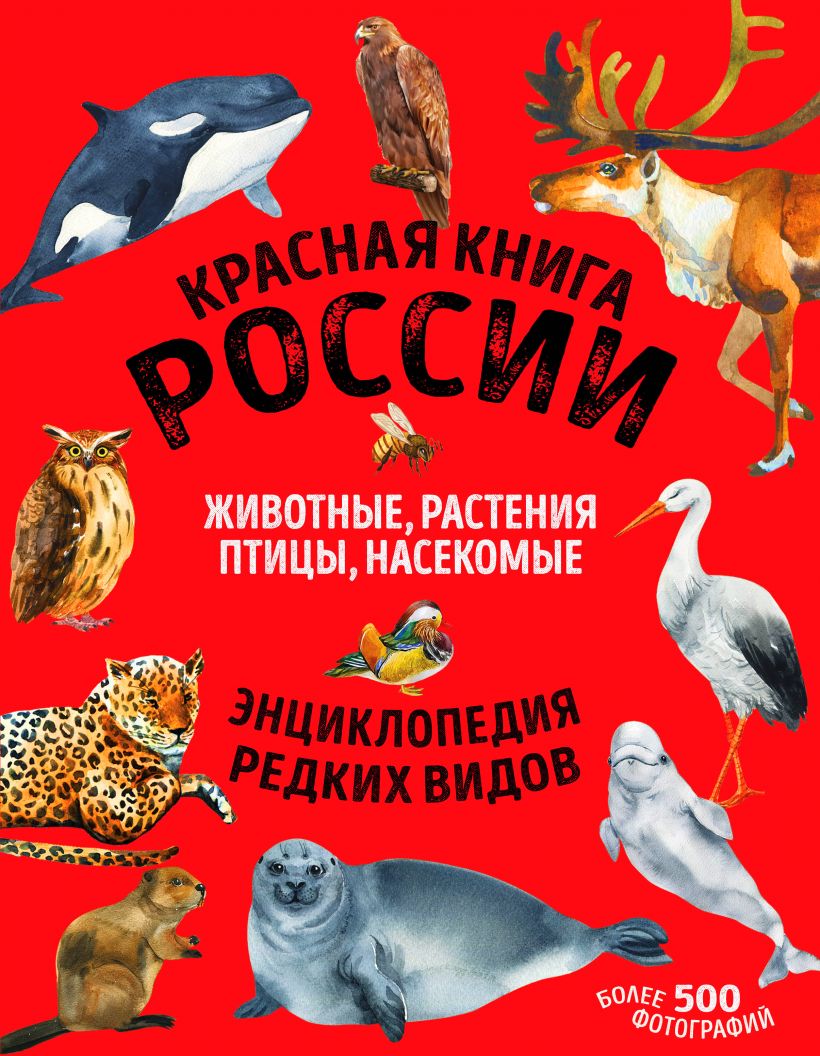 

Красная книга России: все о жизни дикой природы