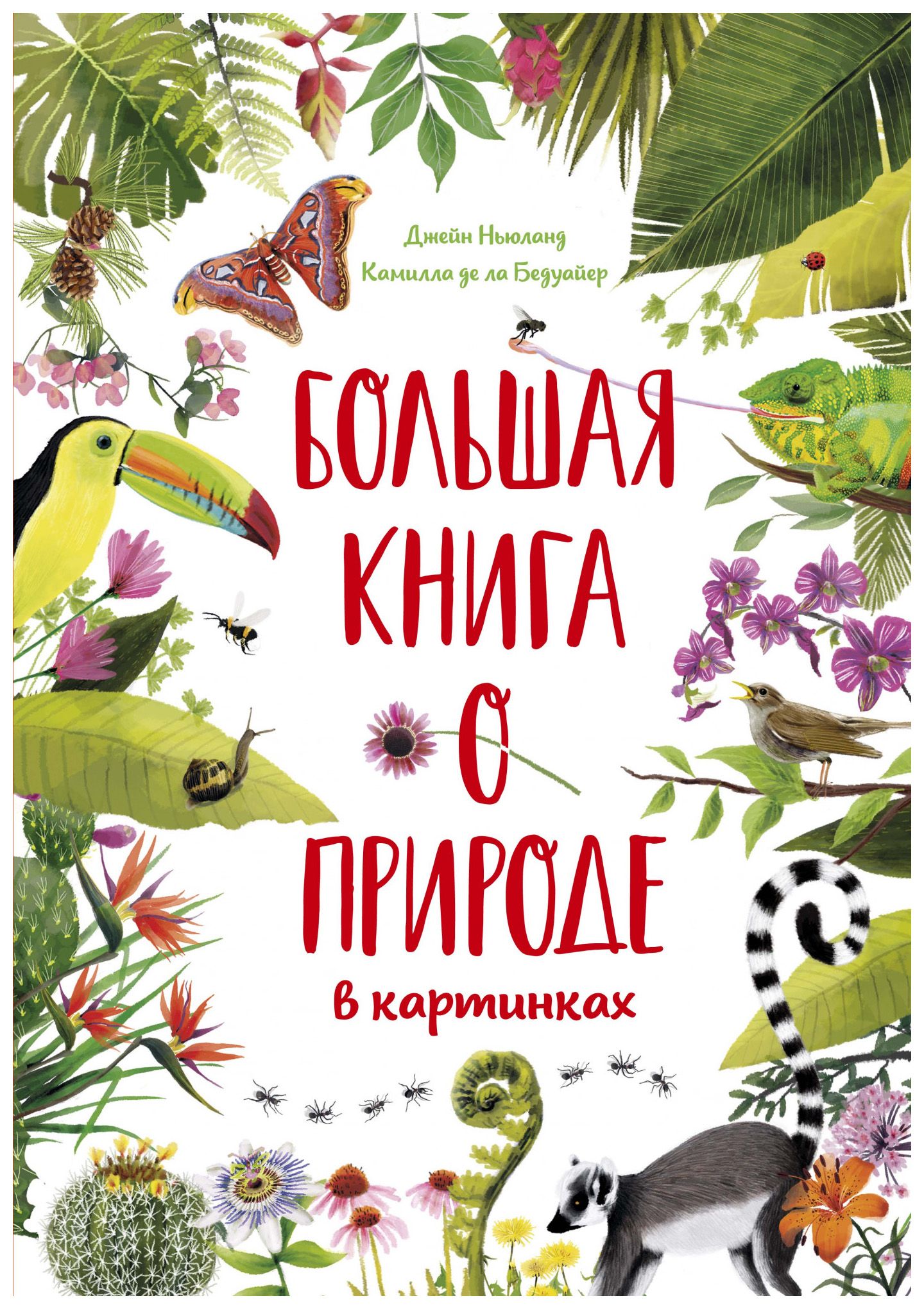 

Большая книга о природе в картинках