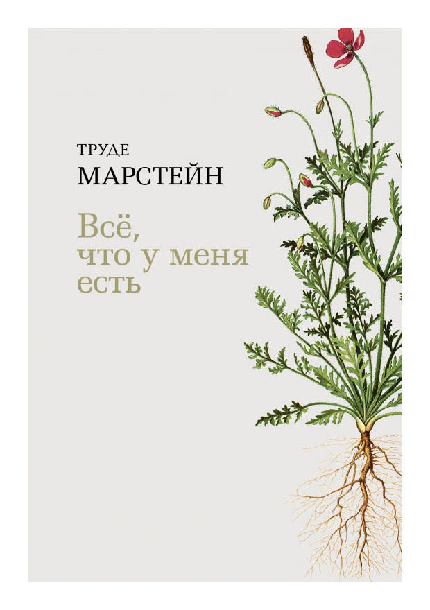 

Всё, что у меня есть