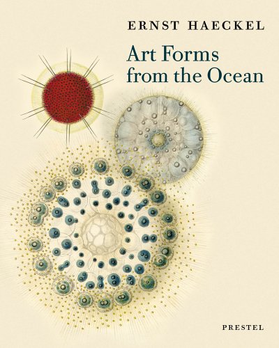 Breidbach O. - Art forms from the Ocean by Ernst Haeckel