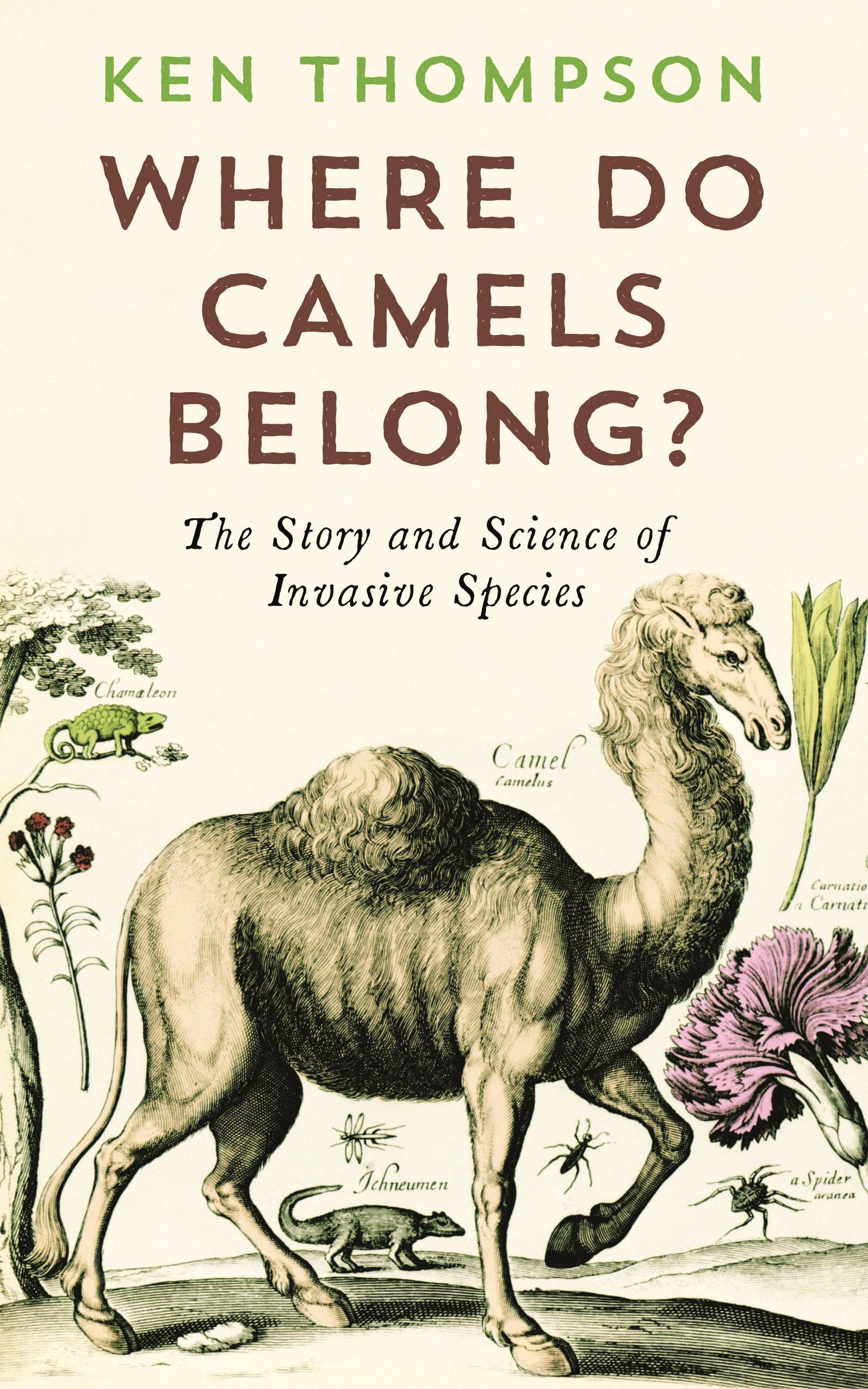 

Where Do Camels Belong : The Story and Science of Invasive Species