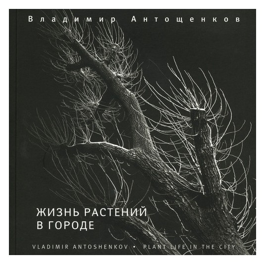 

Жизнь растений в городе
