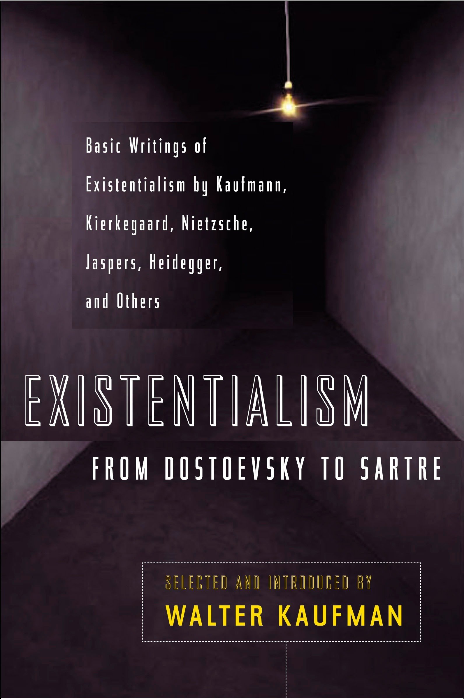 

Existentialism From Dostoevsky to Sartre