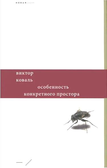 

Особенность конкретного простора