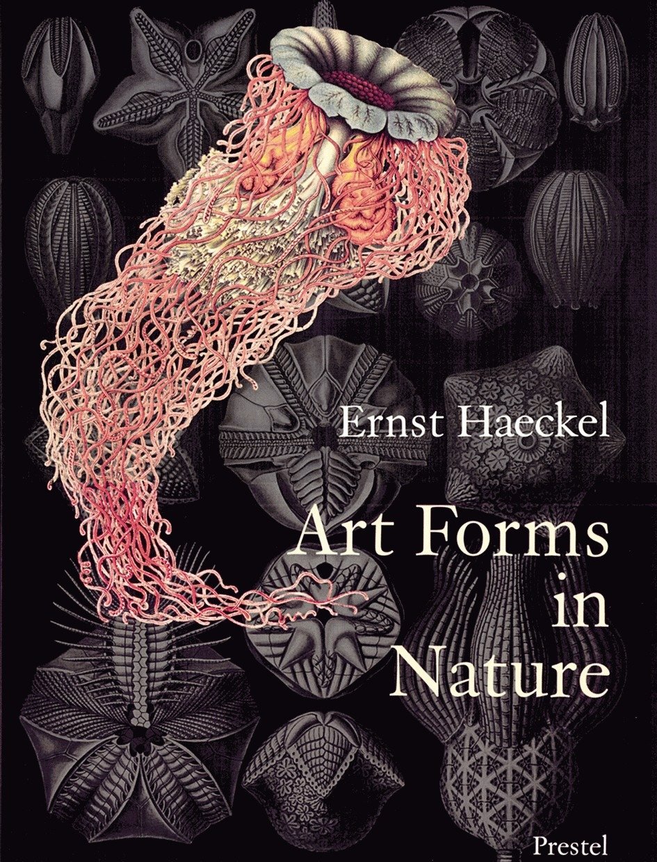 Breidbach O. - Art Forms in Nature by Ernst Haeckel