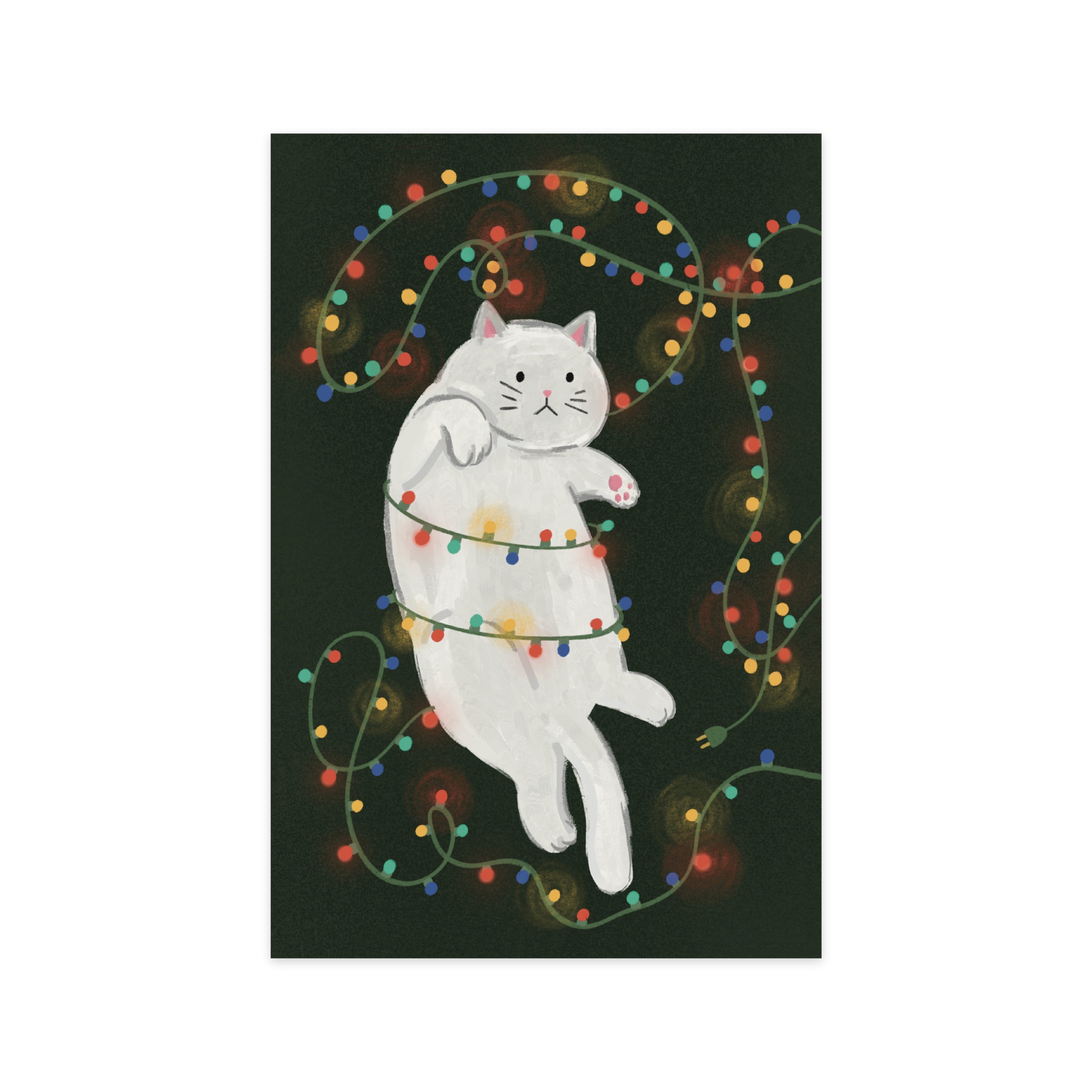 

Открытка Paperie «Котик»