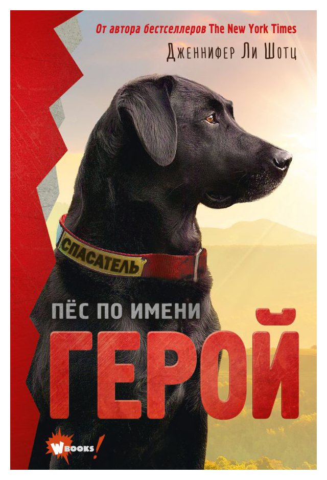 

Пёс по имени Герой