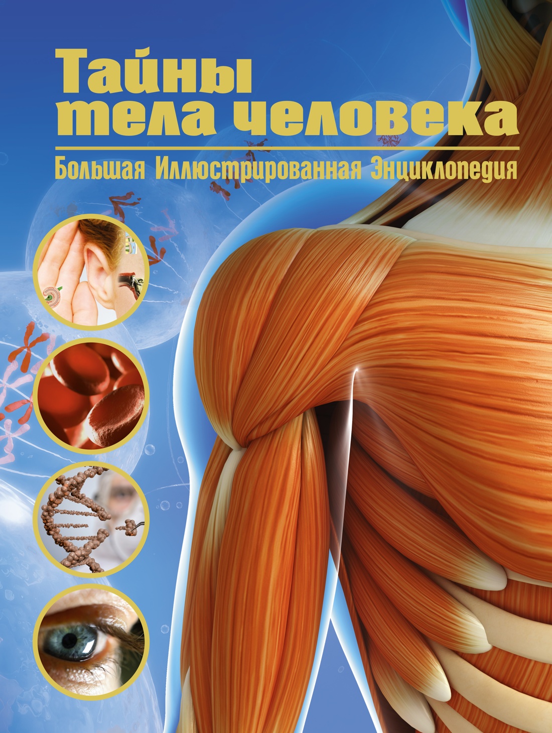 

Тайны тела человека. Большая иллюстрированная энциклопедия