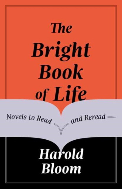 

The Bright Book of Life: Novels to Read and Reread