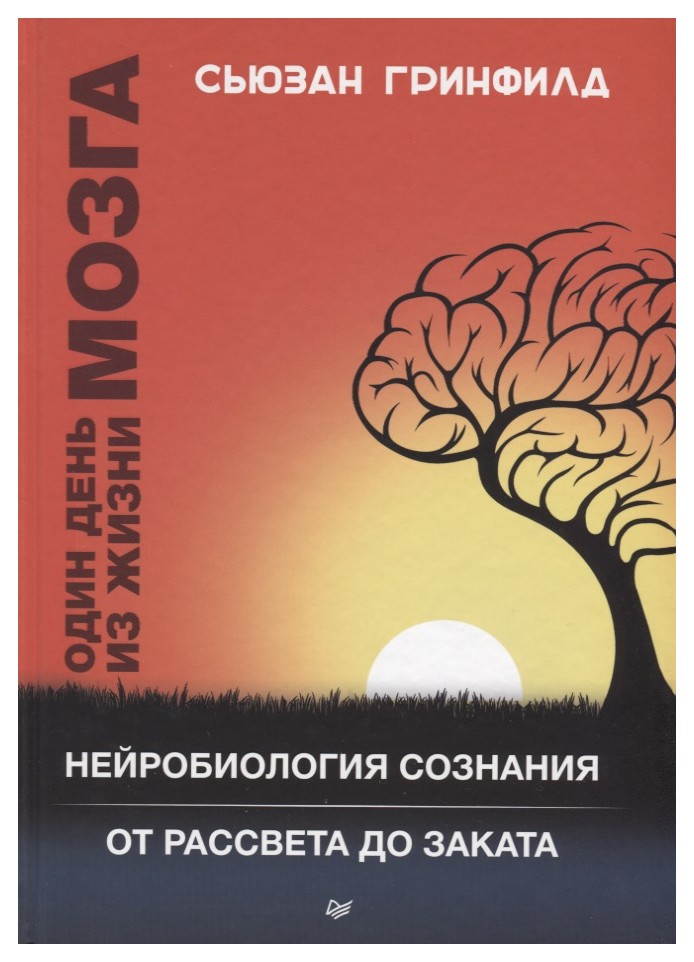 

Один день из жизни мозга
