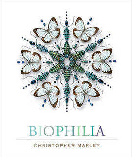 

Biophilia