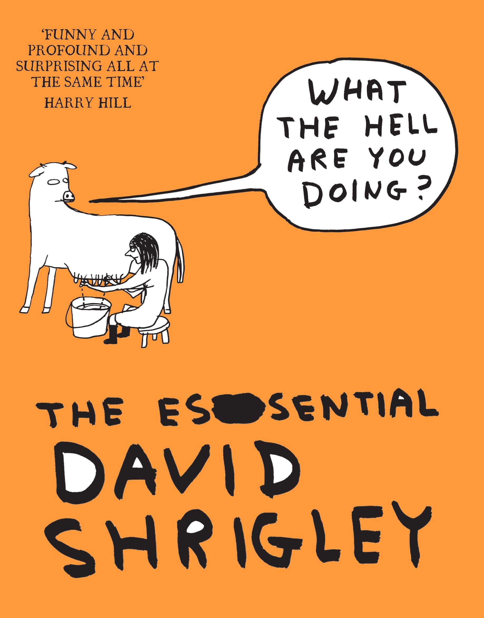 

What The Hell Are You Doing : The Essential David Shrigley