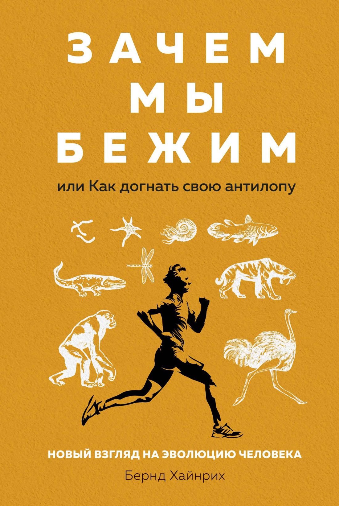 

Зачем мы бежим, или Как догнать свою антилопу. Новый взгляд на эволюцию человека