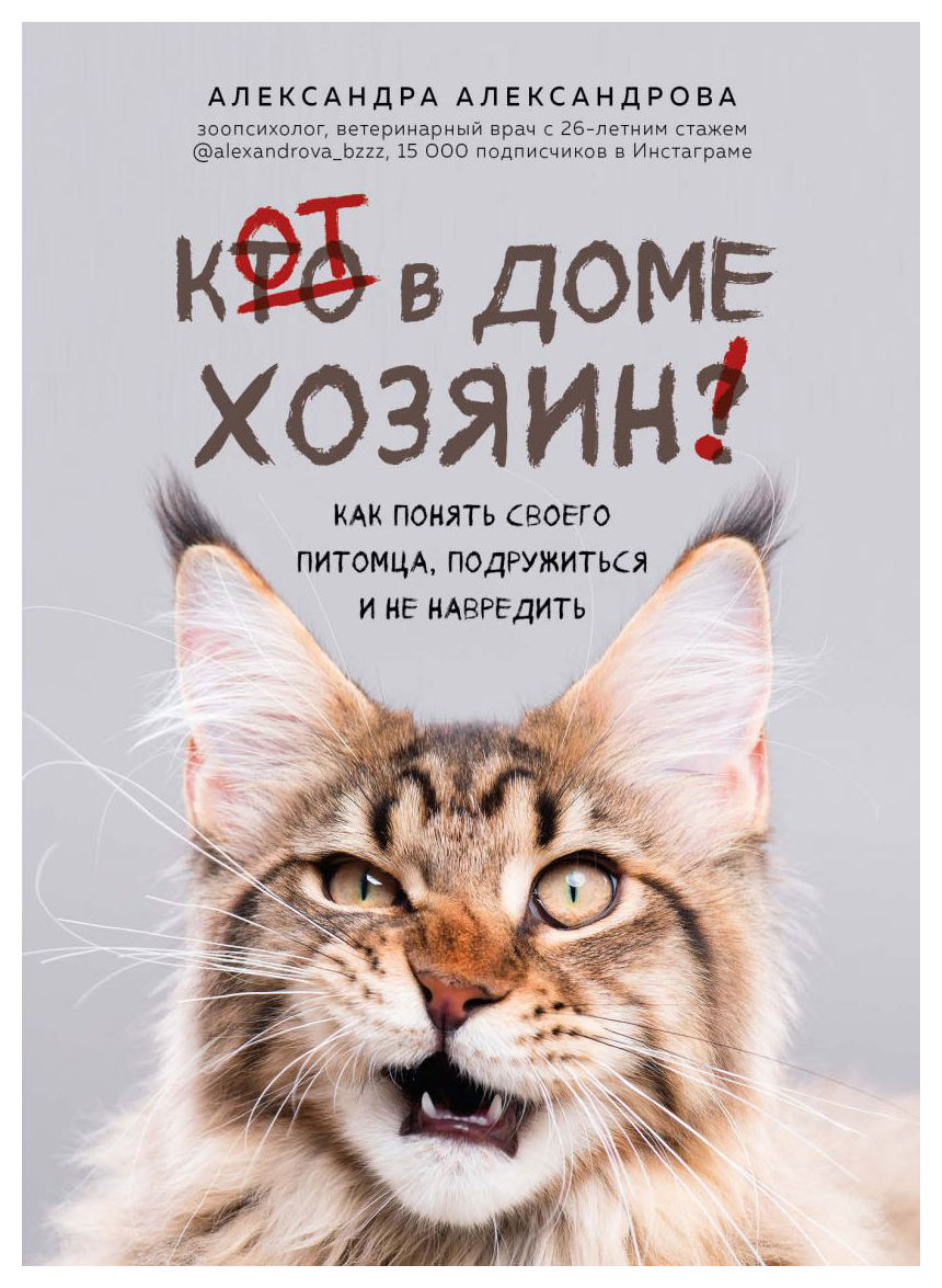 

Кот в доме хозяин! Как понять своего питомца, подружиться и не навредить