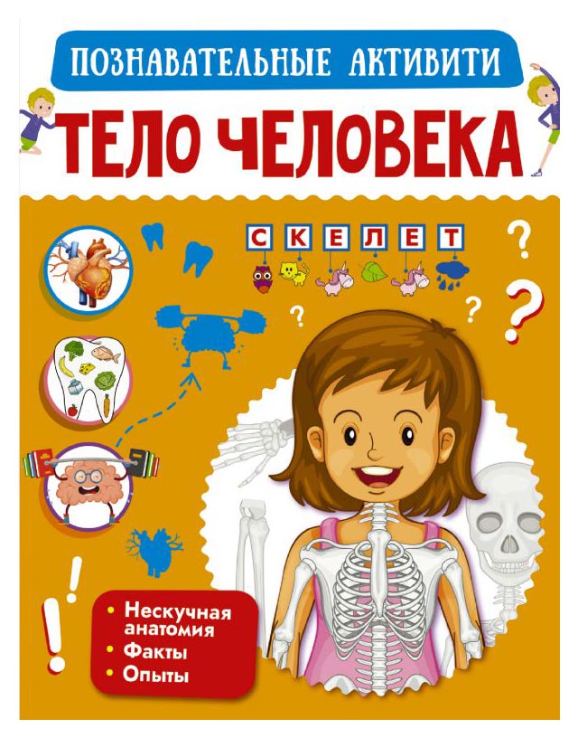 

Тело человека