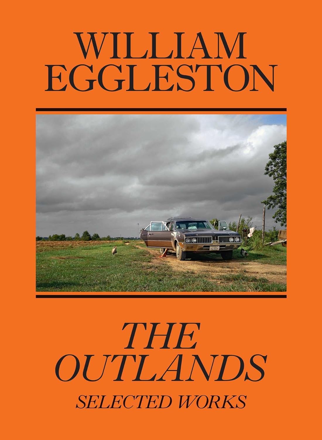 jasper johns pictures within pictures 1980 2015 William Eggleston: The Outlands, Selected Works